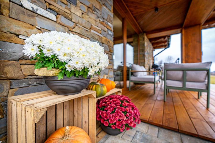 Domki Góralskie  - Bańska Wyżna