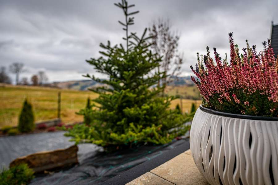 Domki Góralskie  - Bańska Wyżna