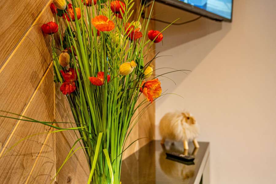 Domki Góralskie  - Bańska Wyżna