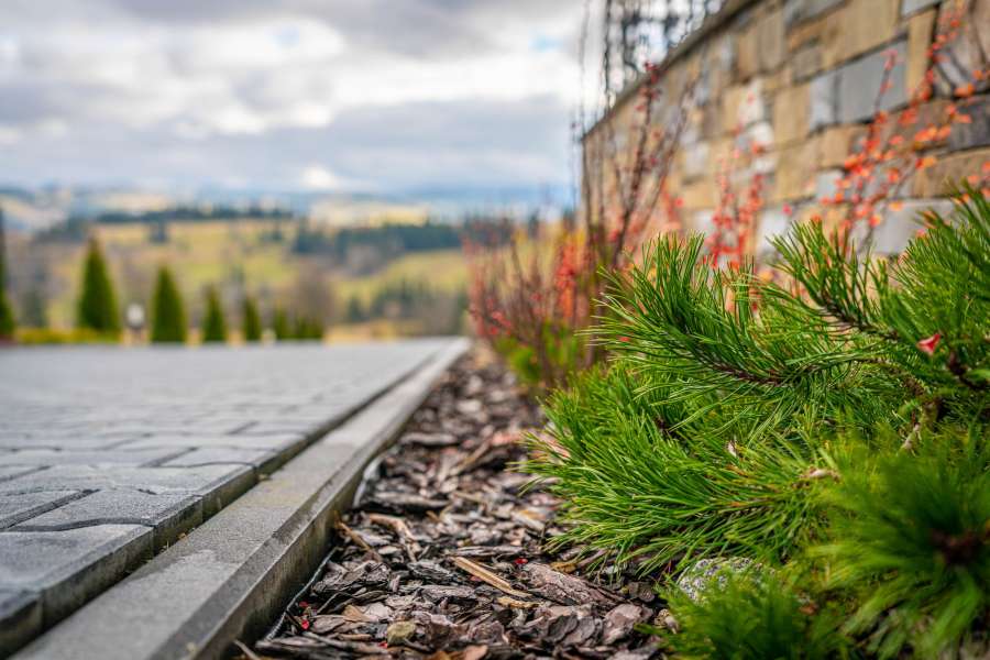 Domki Góralskie  - Bańska Wyżna